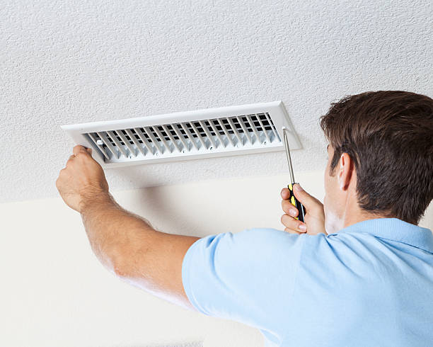 Best Attic Mold Removal  in Linden, TX