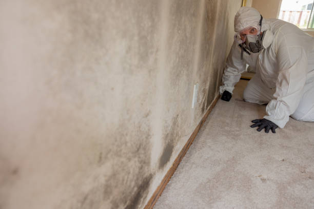 Best HVAC Mold Inspection and Cleaning  in Linden, TX